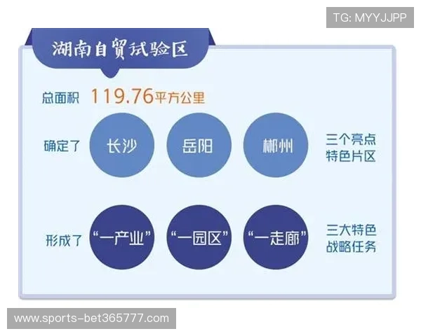 365国际平台结合最新政策，提供专业的跨境贸易咨询与解决方案